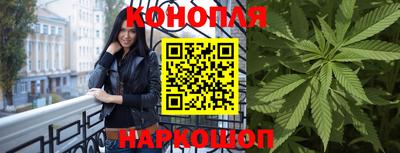 прущие грибы Ирбит