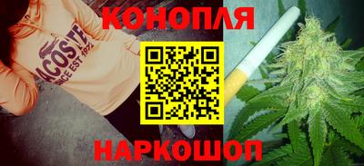 прущие грибы Ирбит