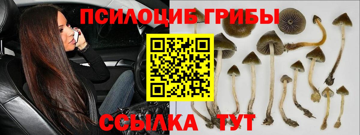 Галлюциногенные грибы GOLDEN TEACHER Лыткарино